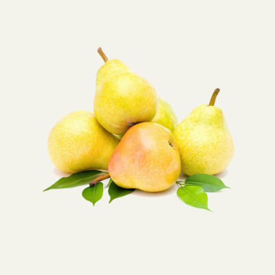 Corella Pears